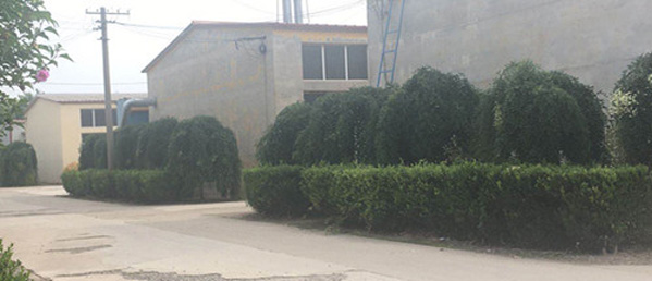 專(zhuān)業(yè)的技術(shù)團(tuán)隊(duì),為客戶(hù)私人定制